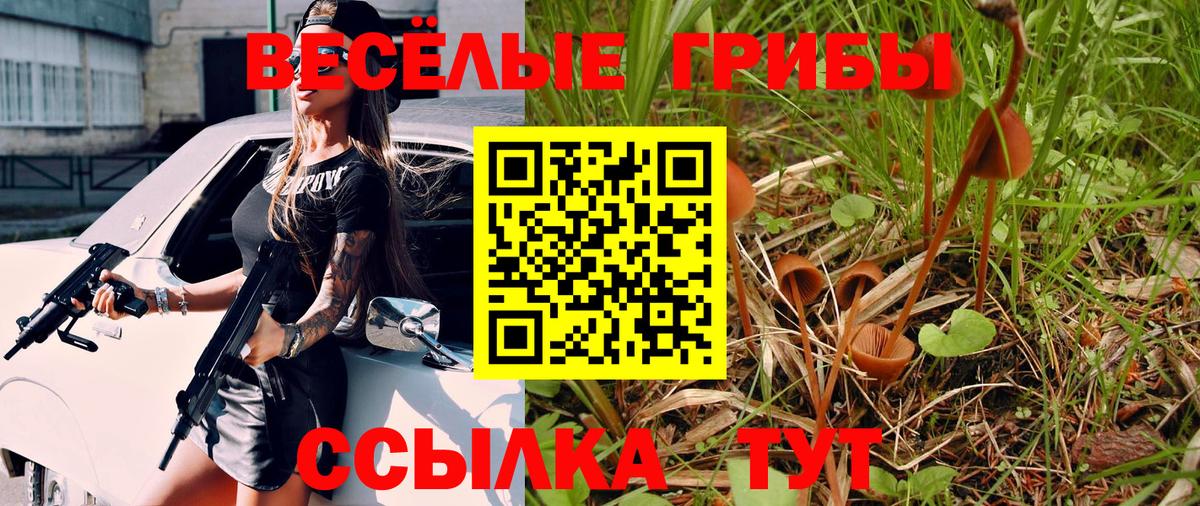 Псилоцибиновые грибы Psilocybine cubensis  Вход с VPN  Псилоцибиновые грибы прущие грибы  Долгопрудный 