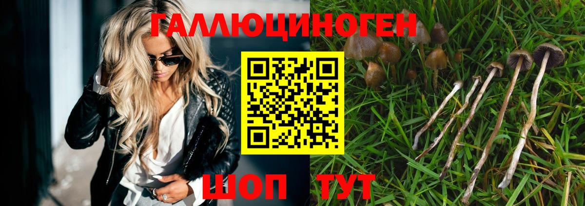 Псилоцибиновые грибы MAGIC MUSHROOMS Долгопрудный